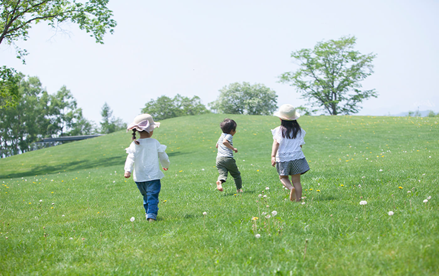 自然に囲まれた心安らぐ穏やかな暮らし